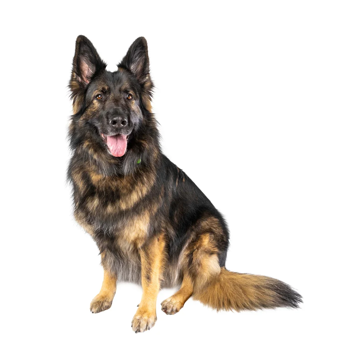 Background Removal example 9